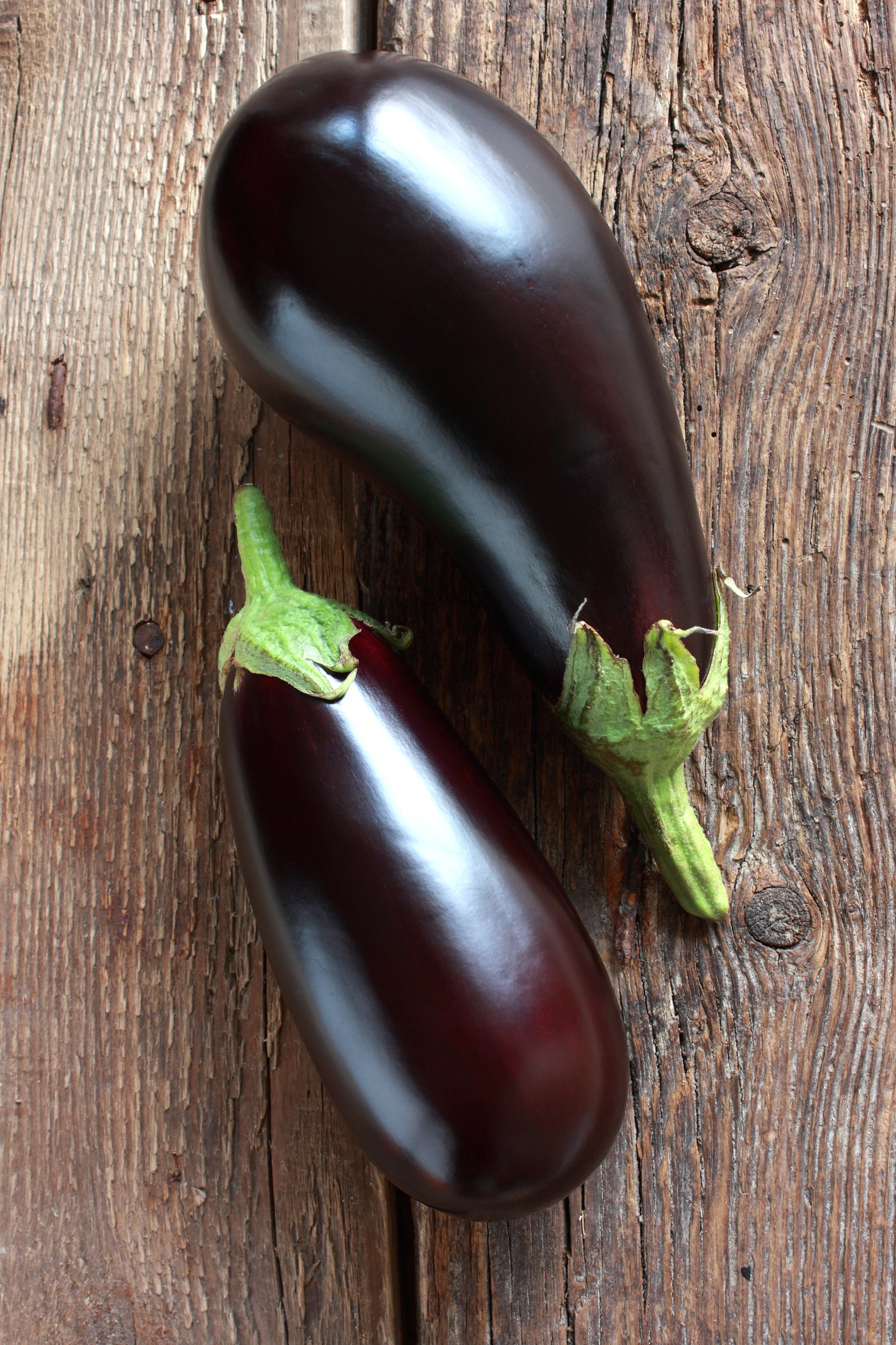 eggplantページ Eggplant-Black Beauty 1903 | Bentley Seeds