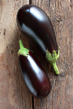 Bentley Seeds - Black Beauty Eggplant on Wooden Table