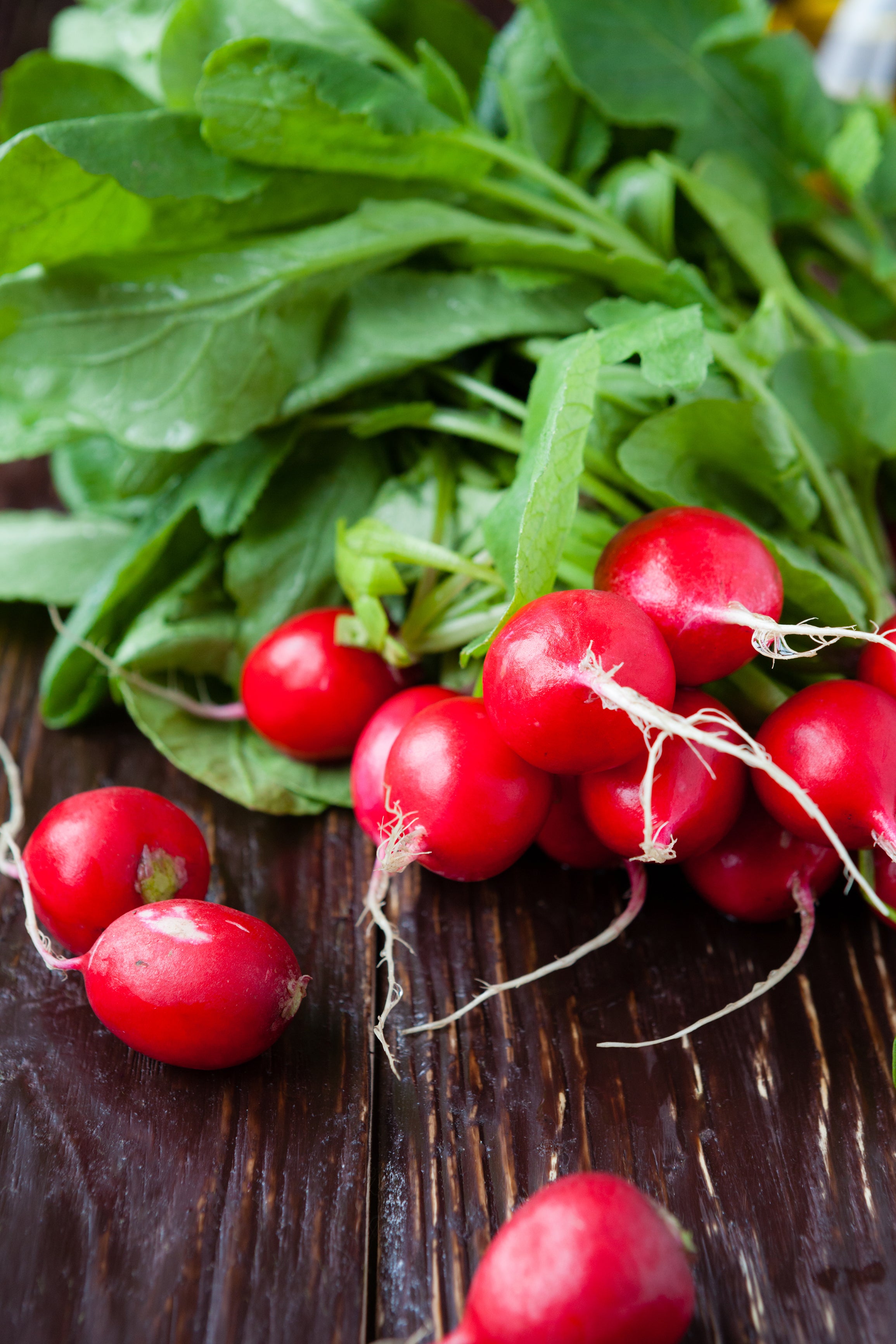 Radish, Cherry Belle Seed Packets | Bentley Seeds