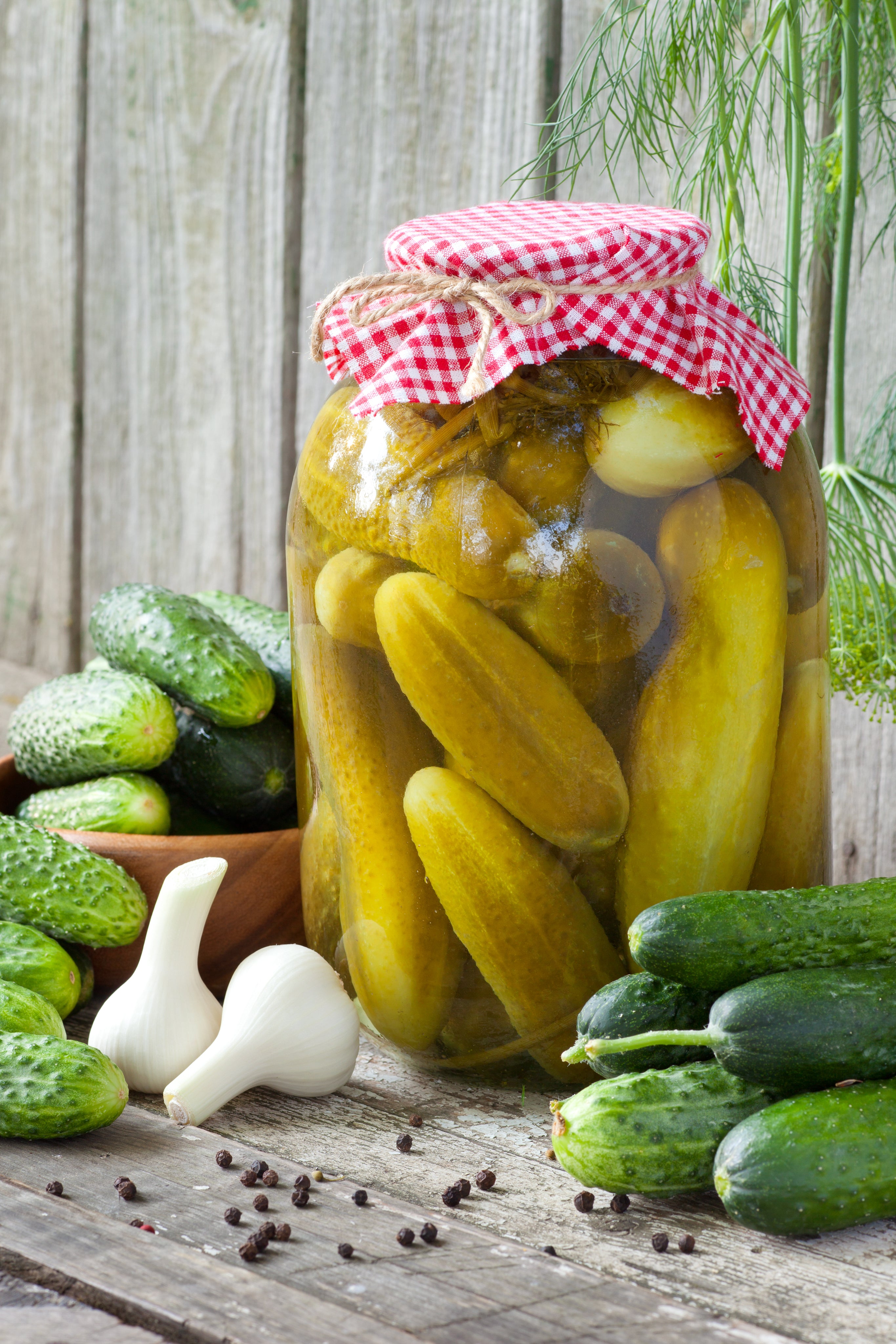 Bentley Seeds Boston Pickling Cucumber Seeds - Thumbnail 3