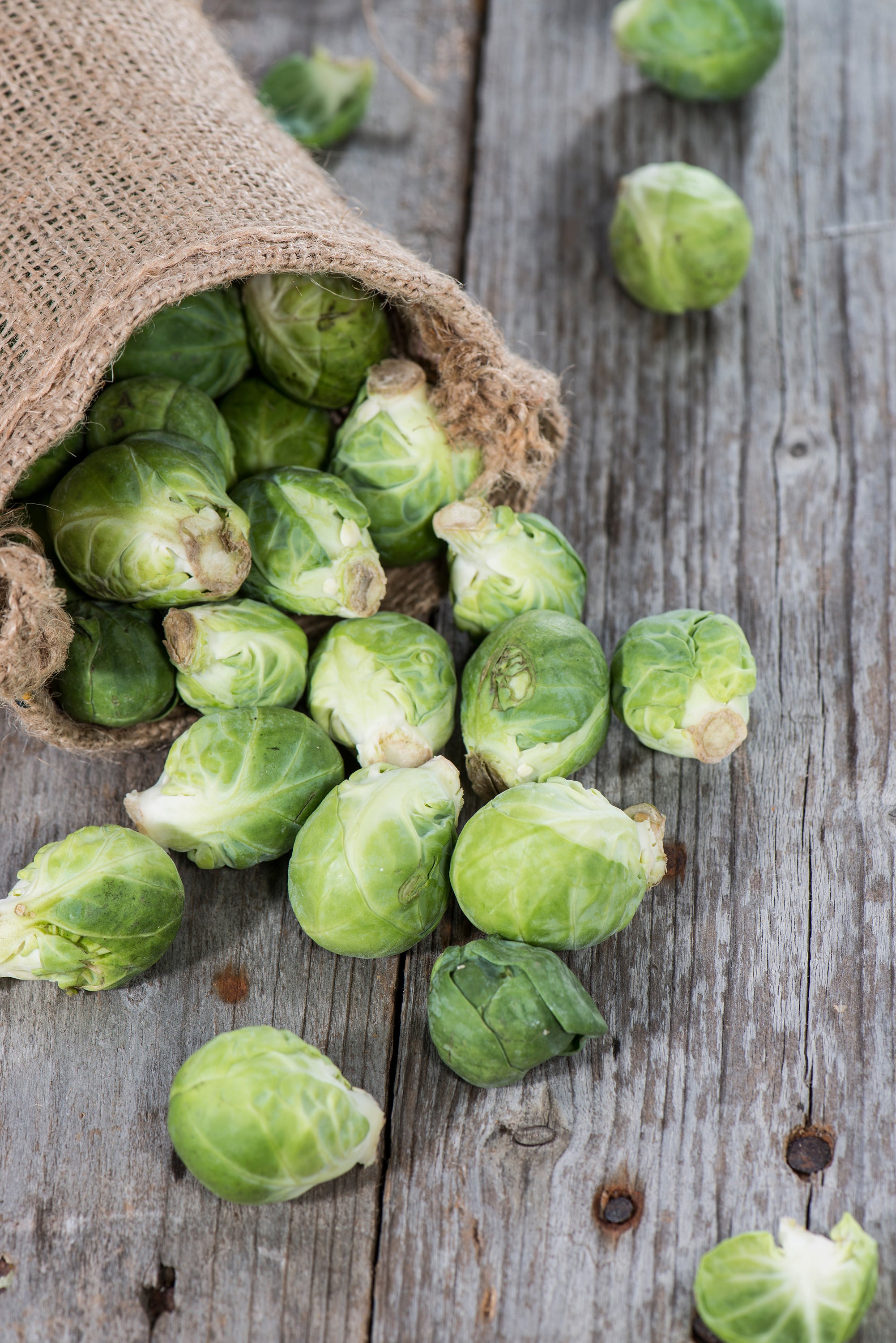 Brussel Sprouts Long Island Seed Packets Bentley Seeds 