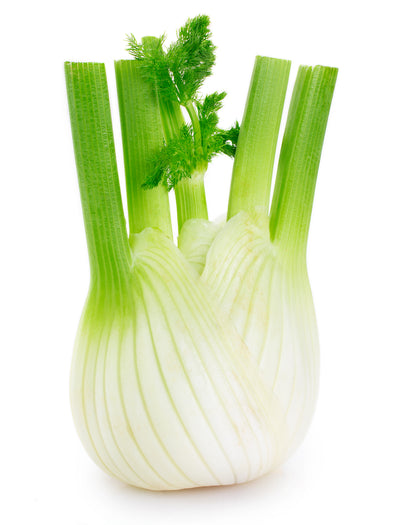 Fennel, Florence seed packet