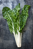 Fordhook Giant Swiss Chard Plants produce fresh greens all season! Fordhook Giant can grow up to 2 feet tall, with leaves and stalks full of nutrition and fiber. Silverbeet. Bentley Seeds