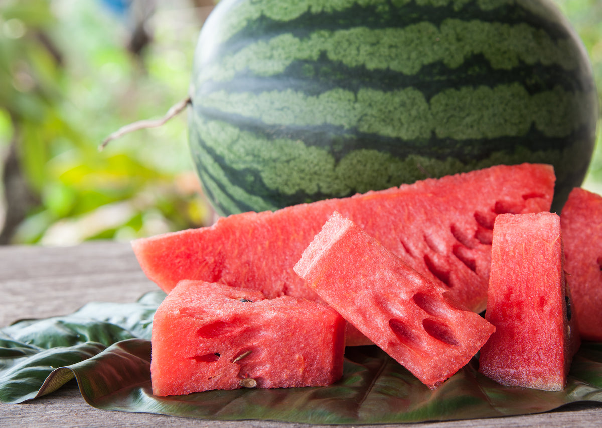 Watermelon, Crimson Sweet Seed Packets flower seeds