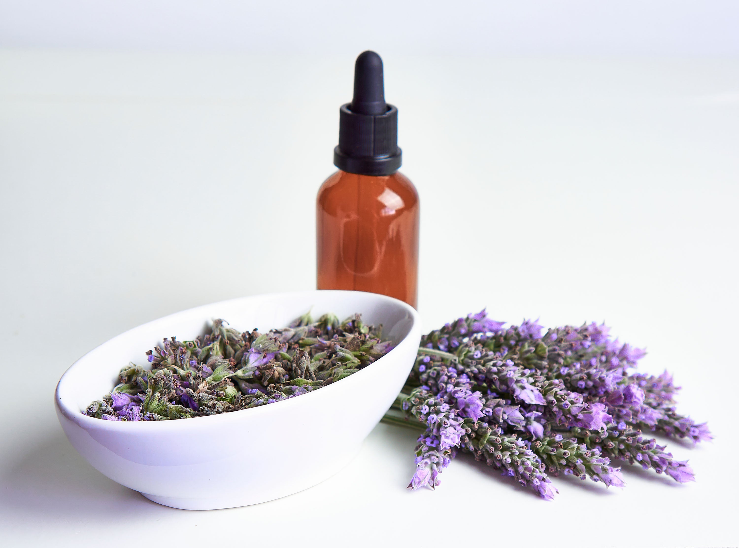 organic lavender seeds bulk Lavender Seed Packets