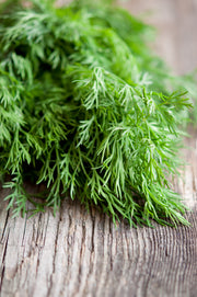 Fennel, Florence Seed Packets garden seeds