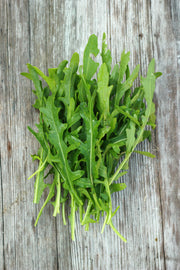 Arugula, Roquette Seed Packets seed packet