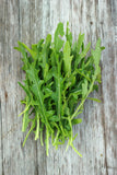 Arugula-Roquette Spice up your salad mix with arugula! The white flowers are also edible with a spicy, nutty flavor. Bentley Seeds.