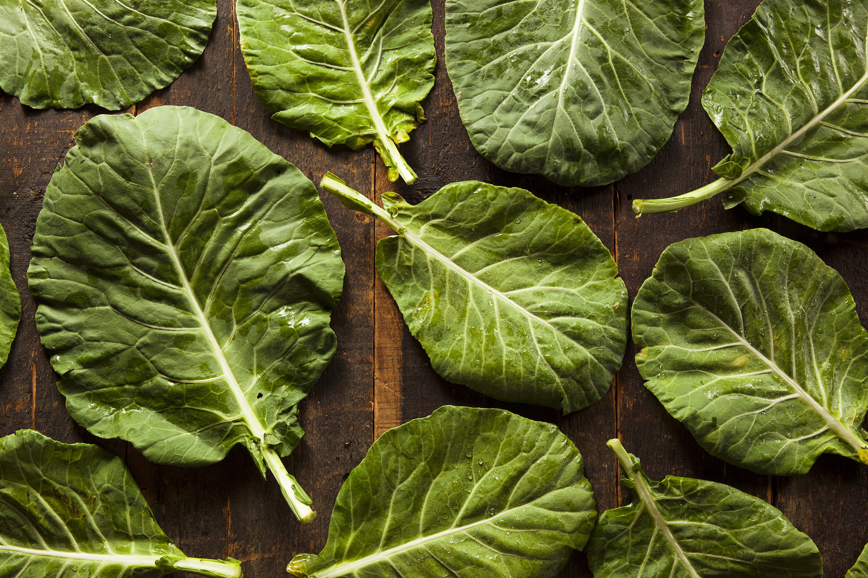 Collards, Southern Giant Seed Packets | Bentley Seeds