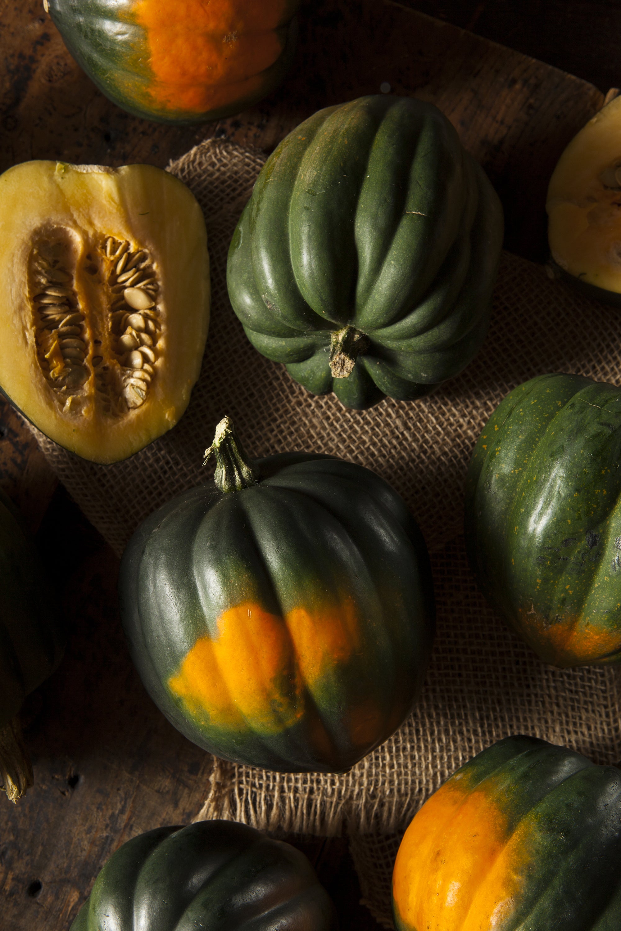 Bentley Seeds Acorn Squash Seeds - Thumbnail 2