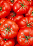 Ace 55 VF Tomato A favorite of ours for over 40 years because of it's hearty flavor and it's resistance to disease! A great classic! Produces a mid-size fruit. Bentley Seeds.