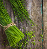Chives Seed Packets garden seeds