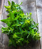 Sweet Marjoram The secret ingredient in pizza sauce! A mild sweeter cousin to oregano, this plant is a great addition to your inside kitchen herb garden. Bentley Seed