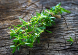 Summer Savory Add a light, refreshing spice to any dish! Traditionally used with beans, vegetables and poultry. Bentley Seed.