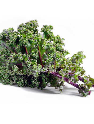 Kale, Red Russian flower seeds
