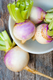 Purple Top Globe Turnip This historic variety is very popular for the home garden! Traditional flavor and great for storage. Enjoy the greens as well! Bentley Seeds.