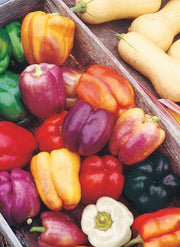 Pepper, Sweet Carnival Blend seed packet